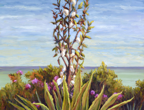 Yucca by the Sea
