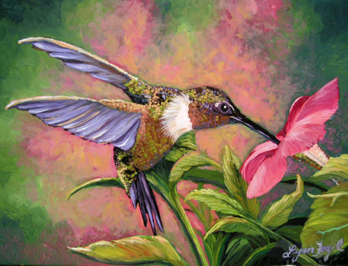 Hummingbird Magic