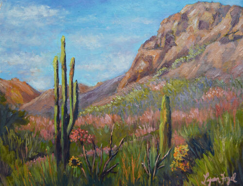 Sonoran Desert